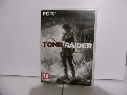 Jeu PC VF  Tomb Raider   Envoi rapide et suivi